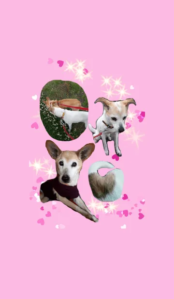 [LINE着せ替え] ワンちゃん わんわん！の画像1