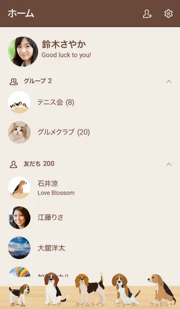 [LINE着せ替え] 人気の犬専門店Open【beagle dog Shop】の画像2