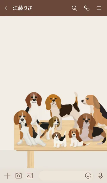 [LINE着せ替え] 人気の犬専門店Open【beagle dog Shop】の画像3