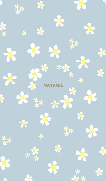 [LINE着せ替え] 白い小花が舞う11の画像1