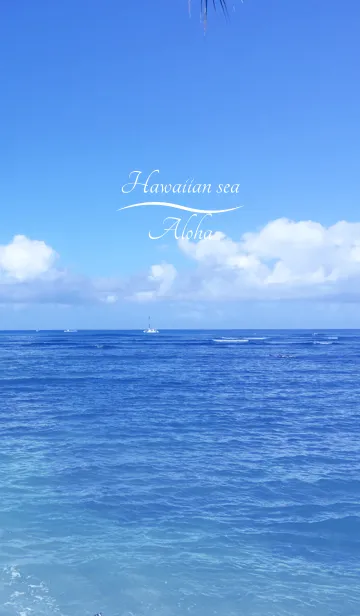 [LINE着せ替え] HAWAIIAN SEA ALOHA.の画像1