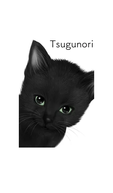 [LINE着せ替え] つぐのり用可愛い黒猫子猫の画像1