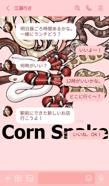 [LINE着せ替え] ENOGU コーンスネーク 爬虫類 着せ替えの画像4