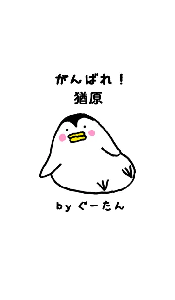 [LINE着せ替え] 猶原さん専用着せかえ by ぐーたんの画像1