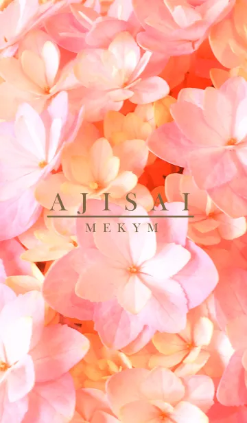 [LINE着せ替え] AJISAI-Flower MEKYM 22の画像1