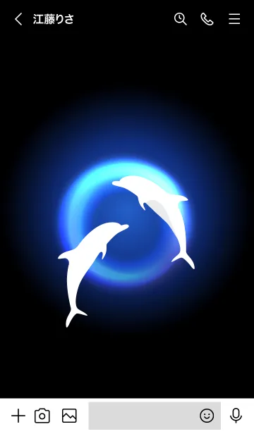 [LINE着せ替え] The light of the Dolphin 2の画像3