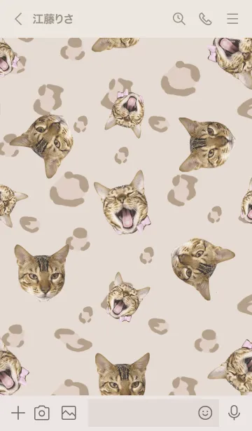 [LINE着せ替え] TORA -ねこのとら-の画像3