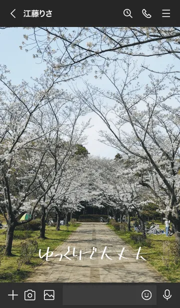 [LINE着せ替え] 桜を見て落ち着こうの画像3