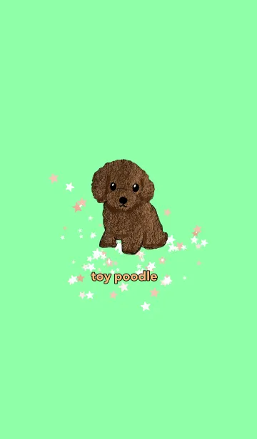 [LINE着せ替え] toy poodle トイプードル 茶 空色草色の画像1