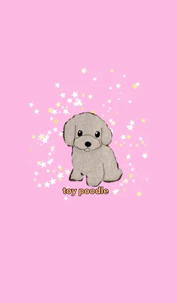 [LINE着せ替え] toy poodle トイプードル ホワイト 桃の画像1