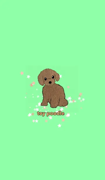 [LINE着せ替え] toy poodle トイプードル ベージュ 緑の画像1