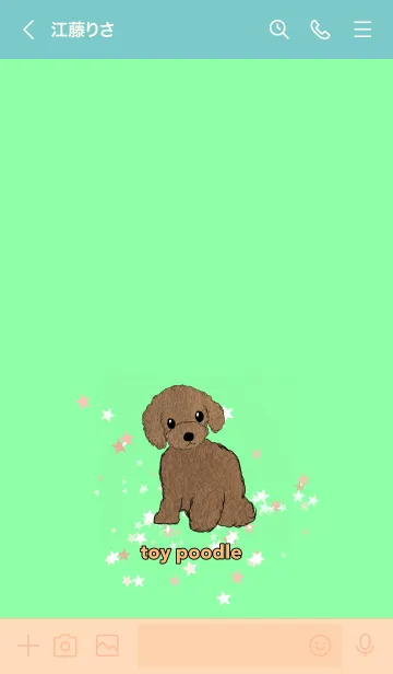 [LINE着せ替え] toy poodle トイプードル ベージュ 緑の画像3