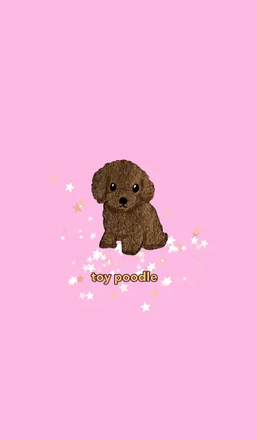[LINE着せ替え] toy poodle トイプードル 赤毛 ピンクの画像1
