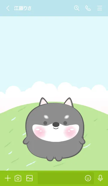 [LINE着せ替え] Cute Chubby black Shiba Inu Theme (JP)の画像3