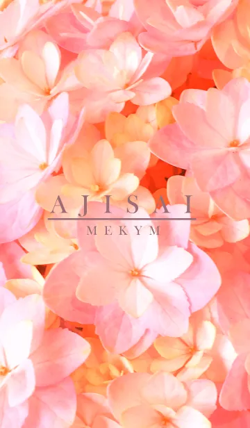 [LINE着せ替え] AJISAI-Flower MEKYM 25の画像1