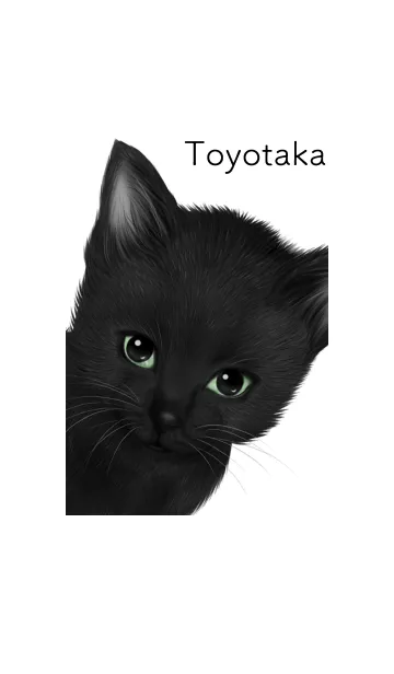 [LINE着せ替え] とよたか用可愛い黒猫子猫の画像1