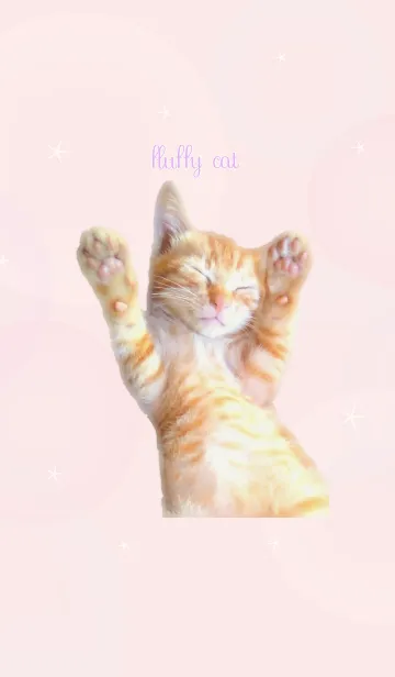 [LINE着せ替え] fluffy cat (pastel pink)の画像1