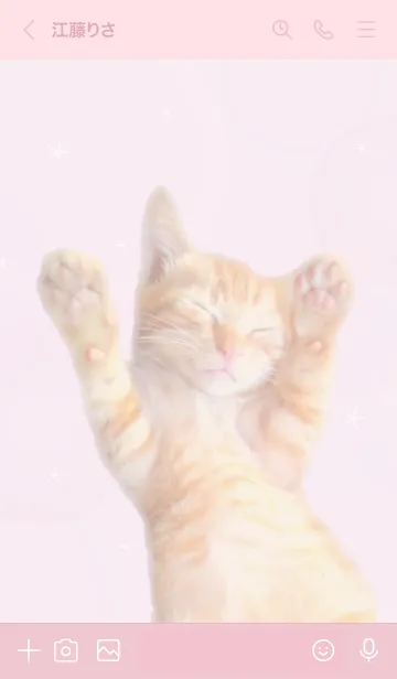 [LINE着せ替え] fluffy cat (pastel pink)の画像3