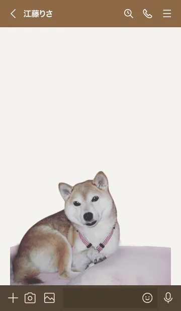 [LINE着せ替え] 柴犬ミッキーの着せ替えの画像3