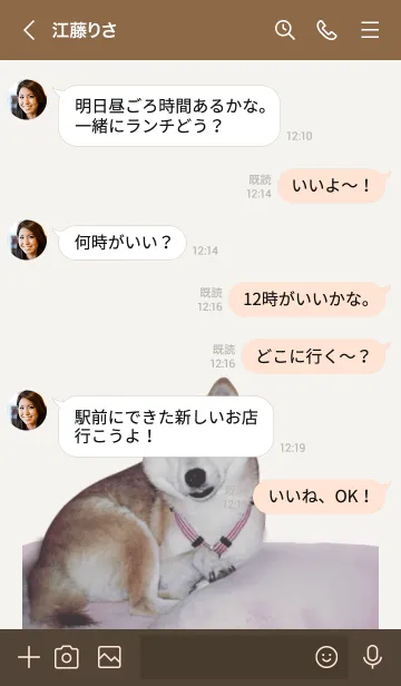 [LINE着せ替え] 柴犬ミッキーの着せ替えの画像4