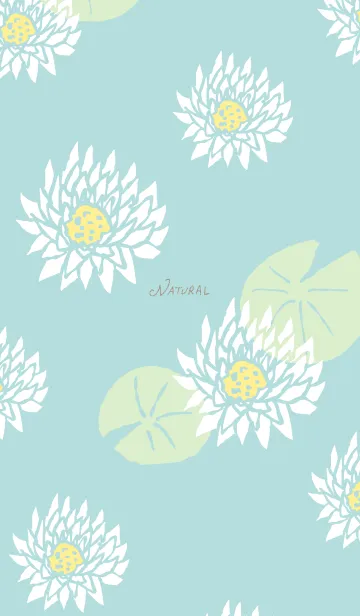 [LINE着せ替え] 白い蓮の花20の画像1