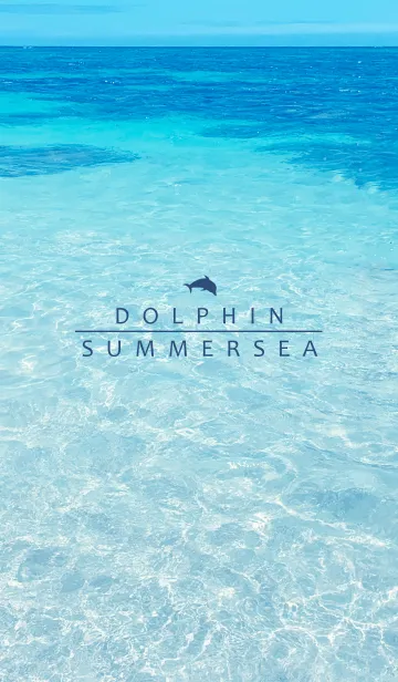[LINE着せ替え] SUMMER SEA HAWAII-BLUE DOLPHIN 33の画像1