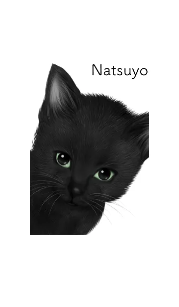 [LINE着せ替え] なつよ用可愛い黒猫子猫の画像1