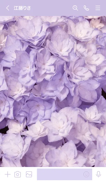 [LINE着せ替え] AJISAI-Purple Flower MEKYM 17の画像3