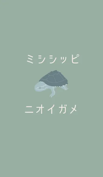 [LINE着せ替え] くすみグリーン×ミシシッピニオイガメの画像1