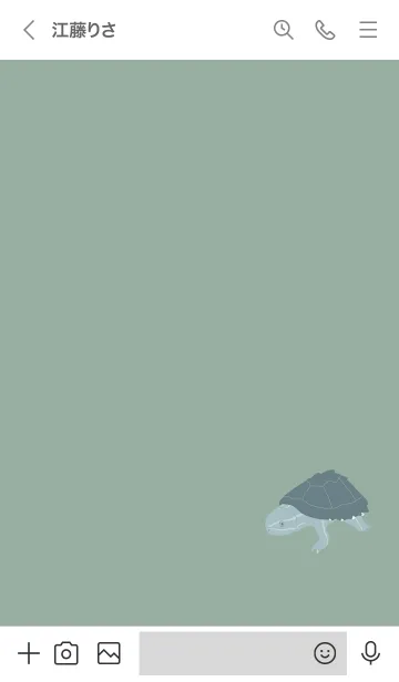 [LINE着せ替え] くすみグリーン×ミシシッピニオイガメの画像3