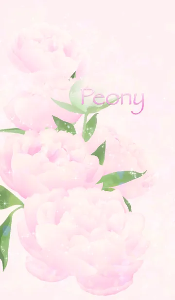 [LINE着せ替え] シャクヤクの花の画像1