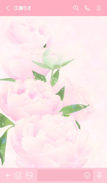 [LINE着せ替え] シャクヤクの花の画像3