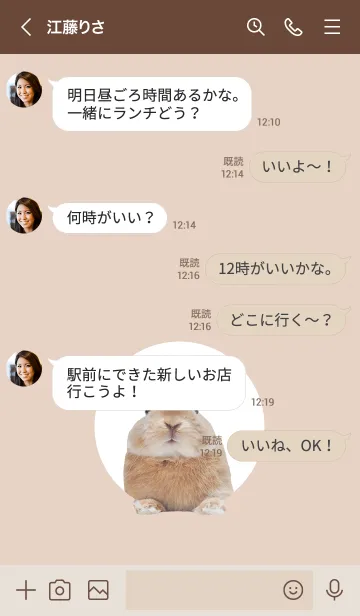 [LINE着せ替え] シンプルでかわいいうさぎ ブラウンの画像4