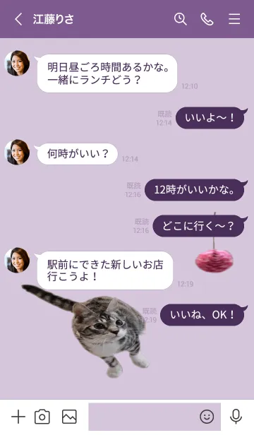 [LINE着せ替え] baby 保護猫RITSUの画像4