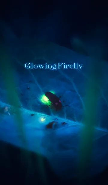 [LINE着せ替え] GlowingFireflyの画像1