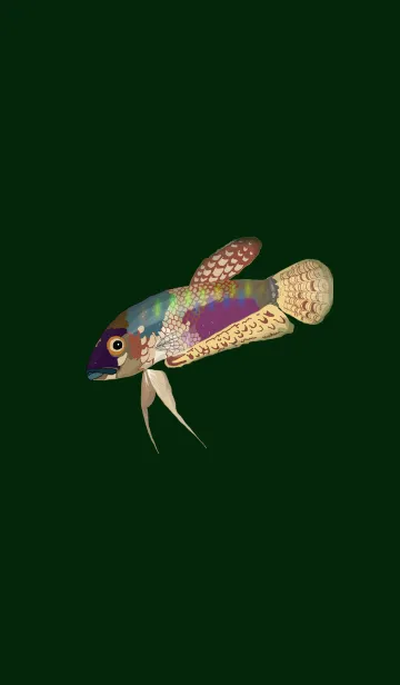 [LINE着せ替え] 美しい熱帯魚の画像1