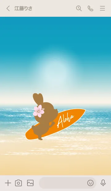 [LINE着せ替え] Rabbits and Surfboard 15の画像3