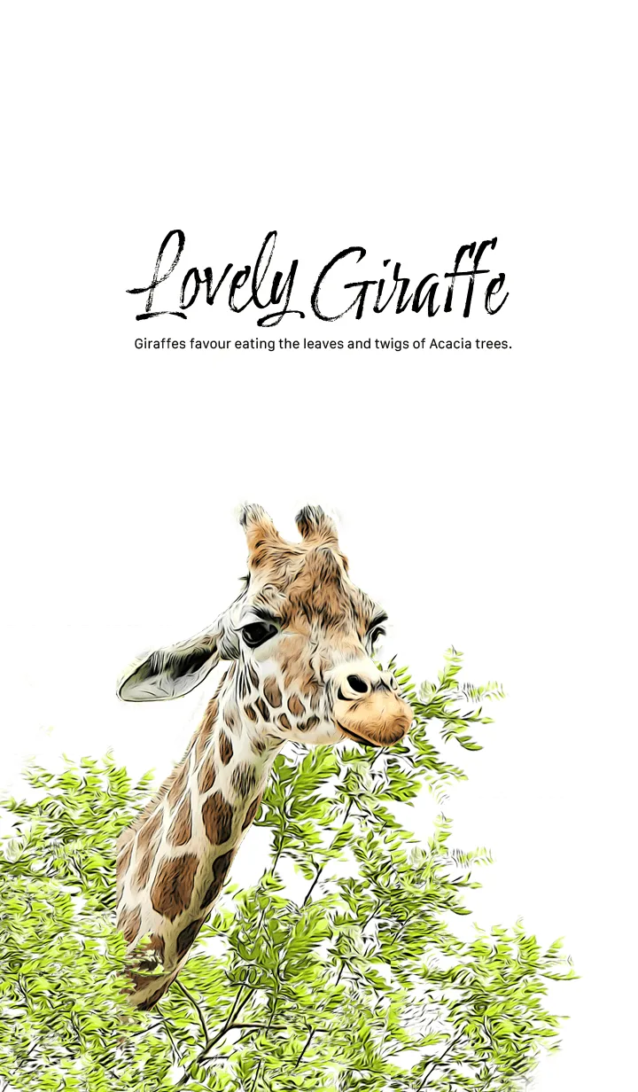 [LINE着せ替え] Lovely Giraffe and acacia treesの画像1