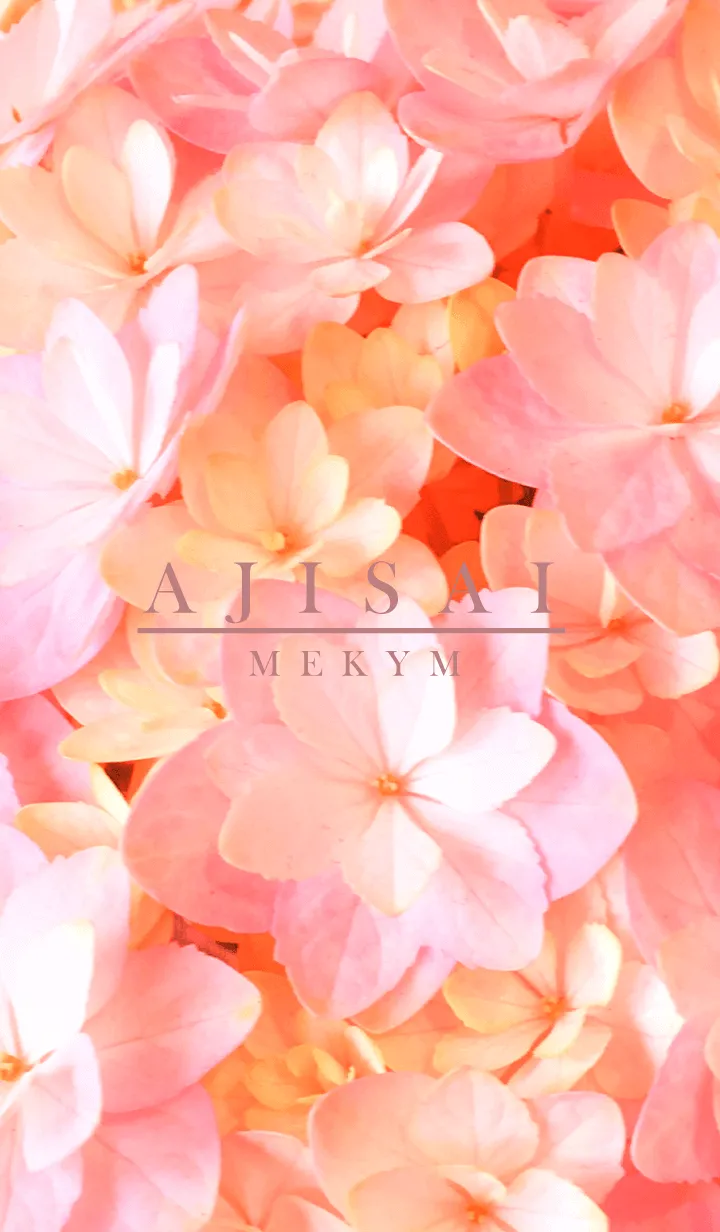 [LINE着せ替え] AJISAI-Flower MEKYM 39の画像1