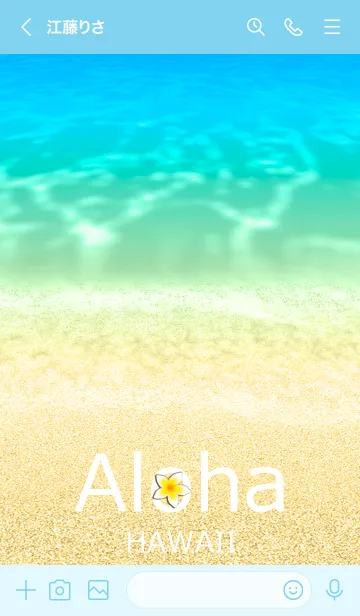 [LINE着せ替え] ハワイ＊ALOHA+245の画像3