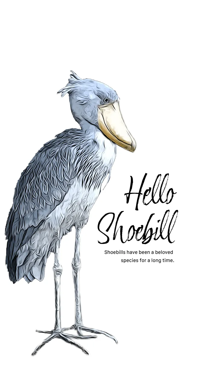 [LINE着せ替え] Hello shoebill！の画像1