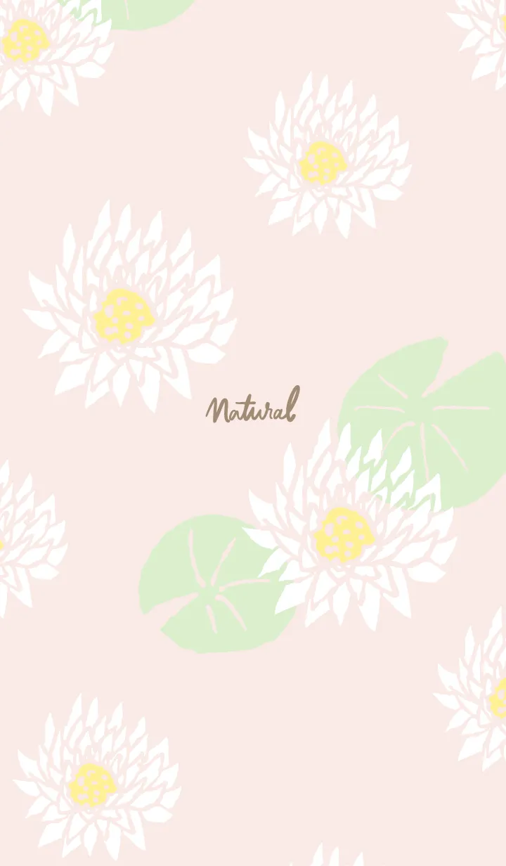 [LINE着せ替え] 白い蓮の花7の画像1