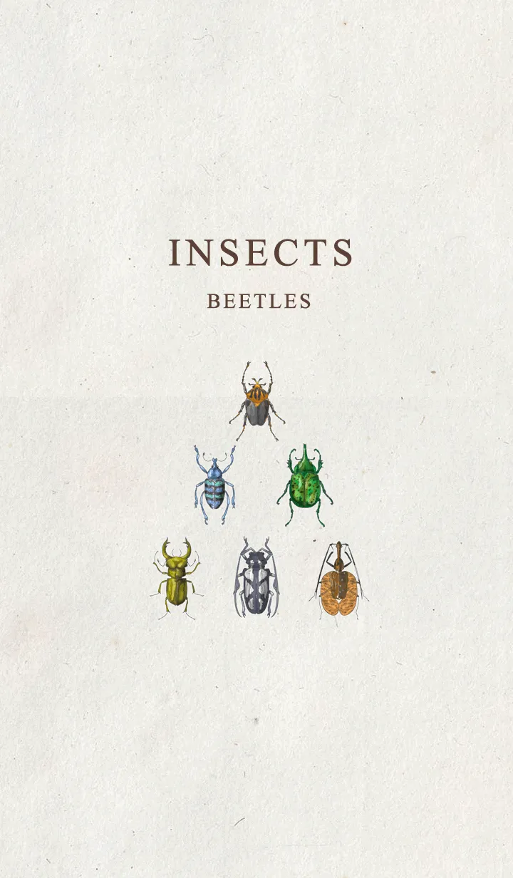 [LINE着せ替え] 昆虫の画像1