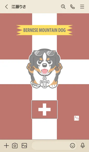 [LINE着せ替え] バーニーズの画像3