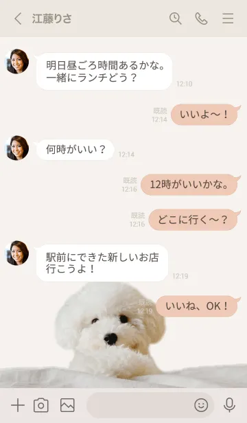 [LINE着せ替え] ふわふわトイプードル ❤︎の画像4