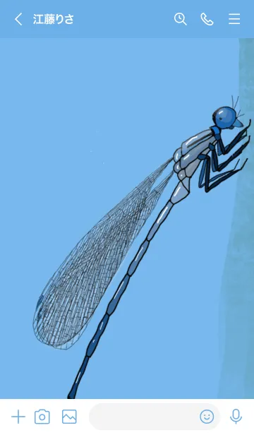 [LINE着せ替え] 神様トンボの画像3