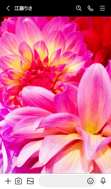 [LINE着せ替え] DAHLIA-flower MEKYM 19の画像3