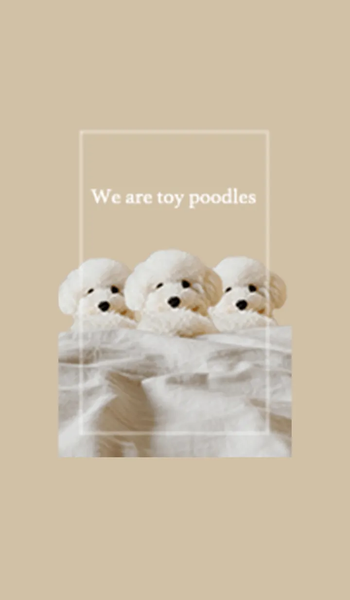 [LINE着せ替え] We are toy poodles ❤︎の画像1