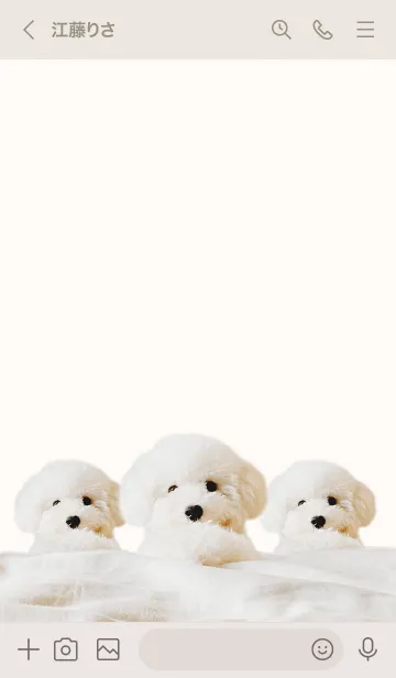 [LINE着せ替え] We are toy poodles ❤︎の画像3