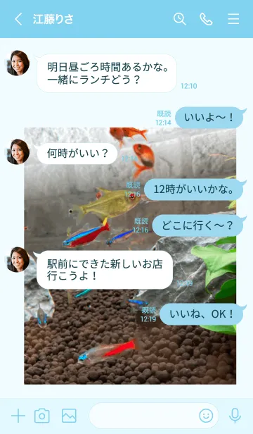 [LINE着せ替え] アクアリウム テトラ 岩組み水槽の画像4